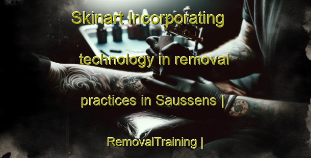 Skinart Incorporating technology in removal practices in Saussens | RemovalTraining | RemovalClasses | SkinartTraining-France